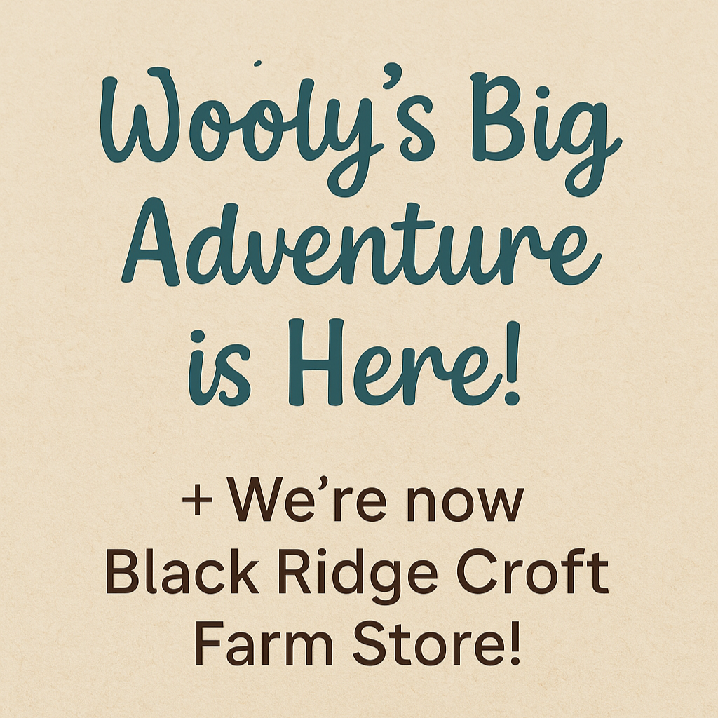A Children’s book ~ “Wooly’s Big Adventure”