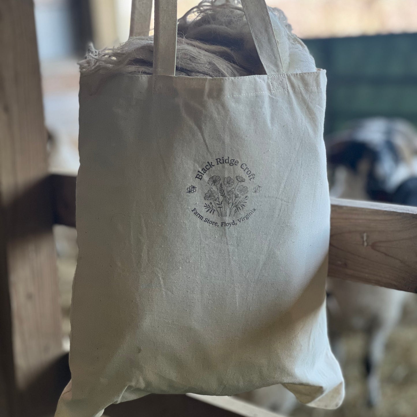 Natural Raw Wool from our Scottish Black Face Sheep