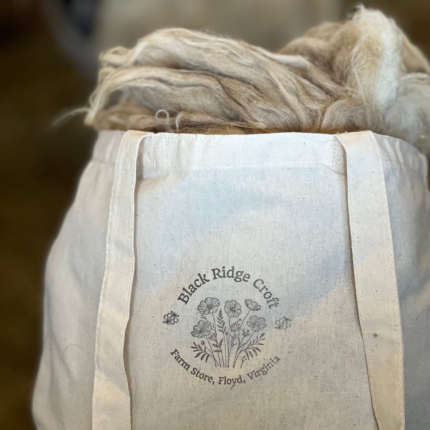 Natural Raw Wool from our Scottish Black Face Sheep