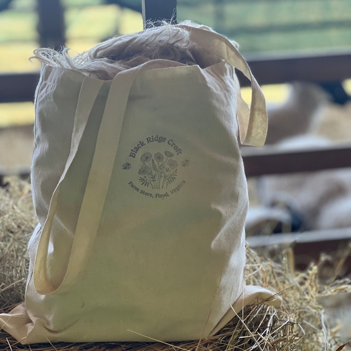 Natural Raw Wool from our Scottish Black Face Sheep