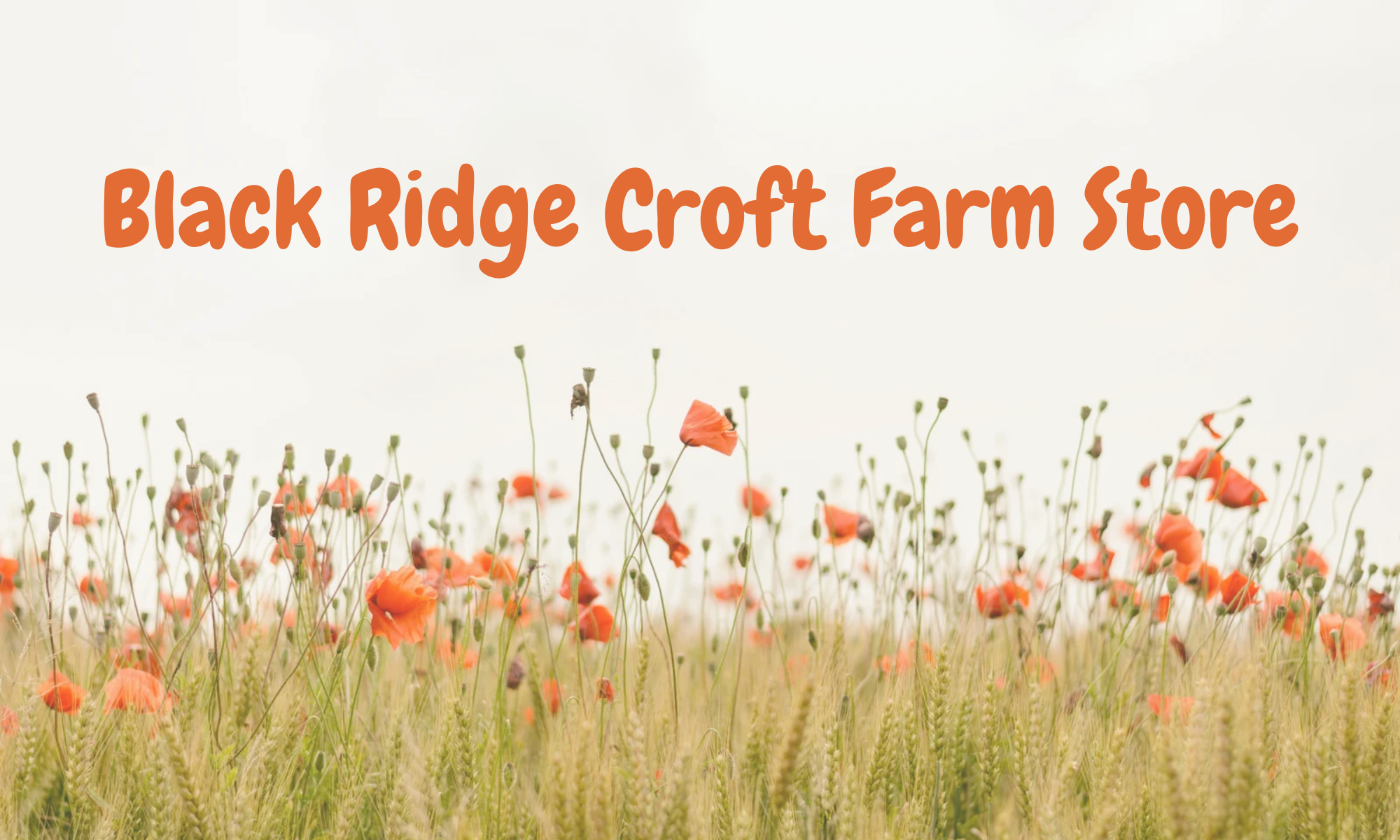 Black Ridge Croft Farm Store